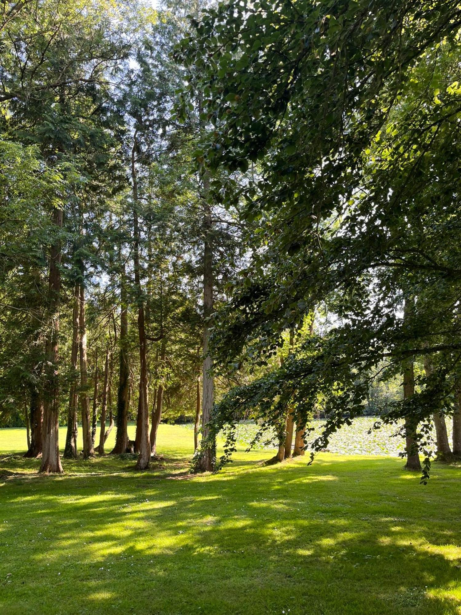 Bed and Breakfast Abbaye De Blanchelande Neufmesnil Экстерьер фото